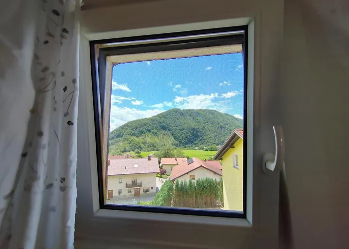 Apartma Sofia تولمين